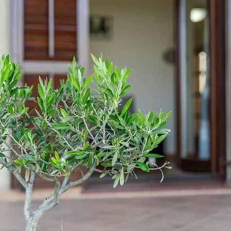 Apartment Elio 1606 Labin (Istria)