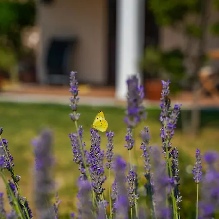 Apartment Elio 1606 Labin (Istria)